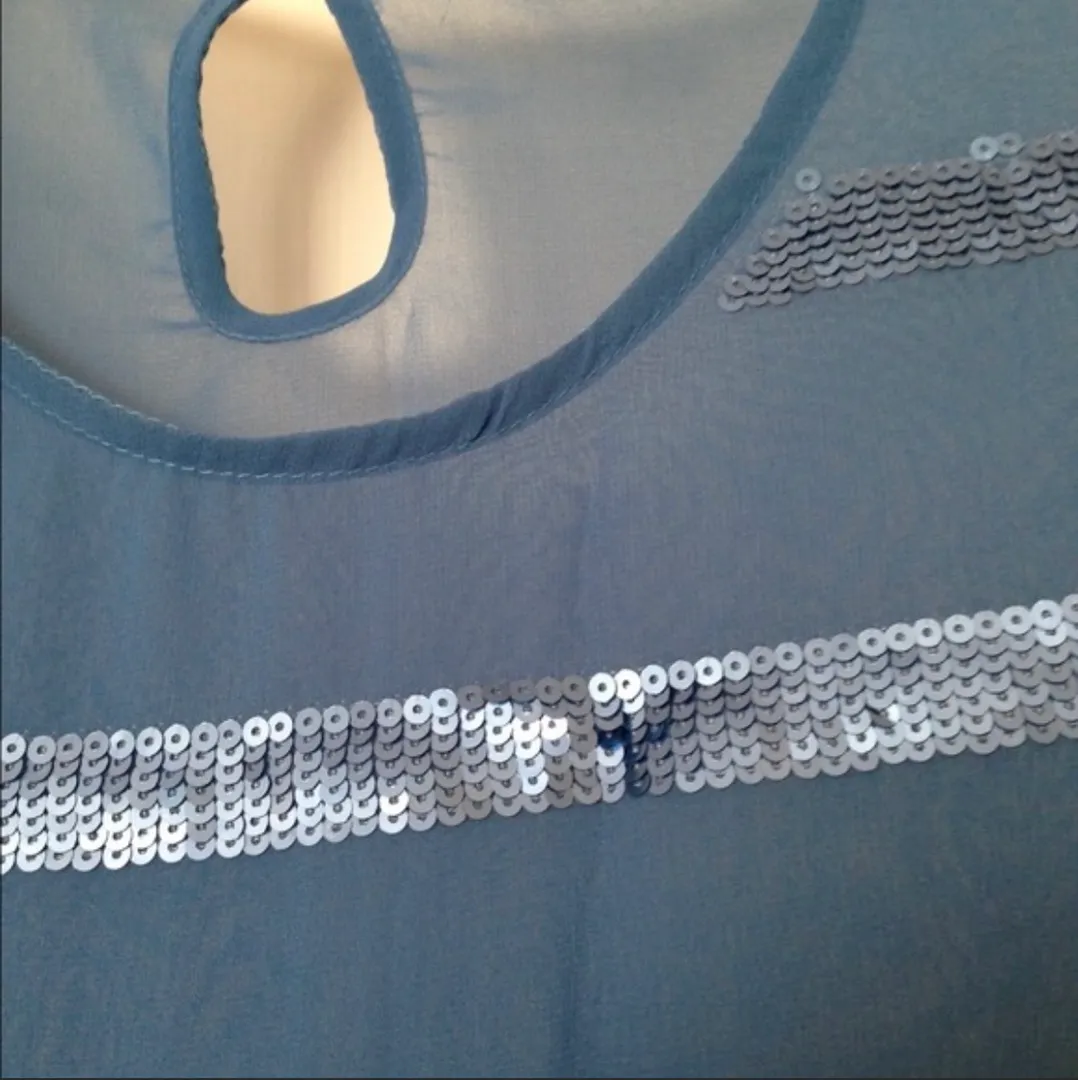 Stripped Blue Sequin Chiffon Short Sleeve Top - Image 5