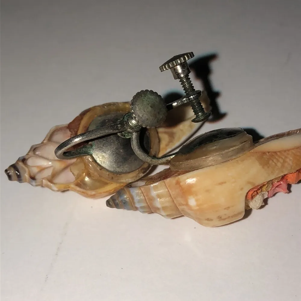 Vintage Conch Shell Tiny Colorful Shells Screw Back Clip On Earrings - Image 3