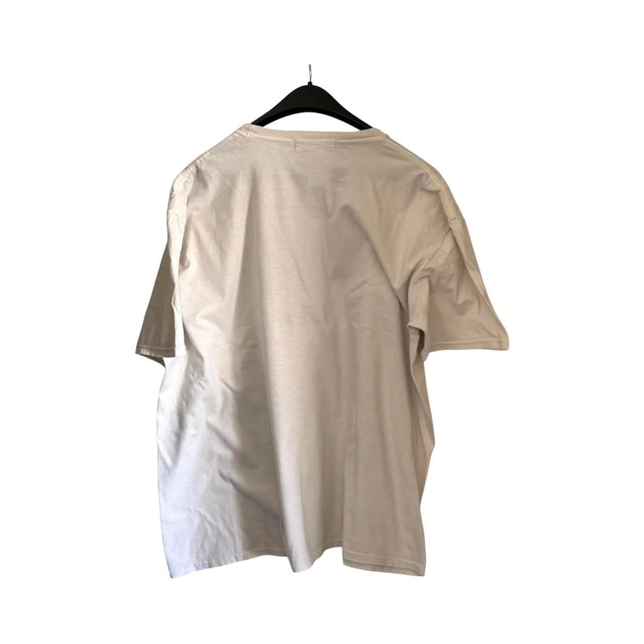 Urban Outfitters Project Social T Rose Infused Oversized Graphic Tee (One Size) - Image 4