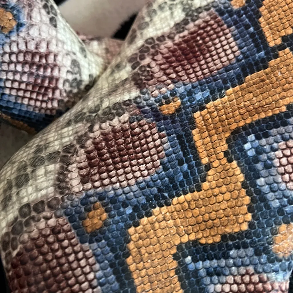 Jeffrey Campbell Siren Snakeskin Python Ankle Boots - Image 6