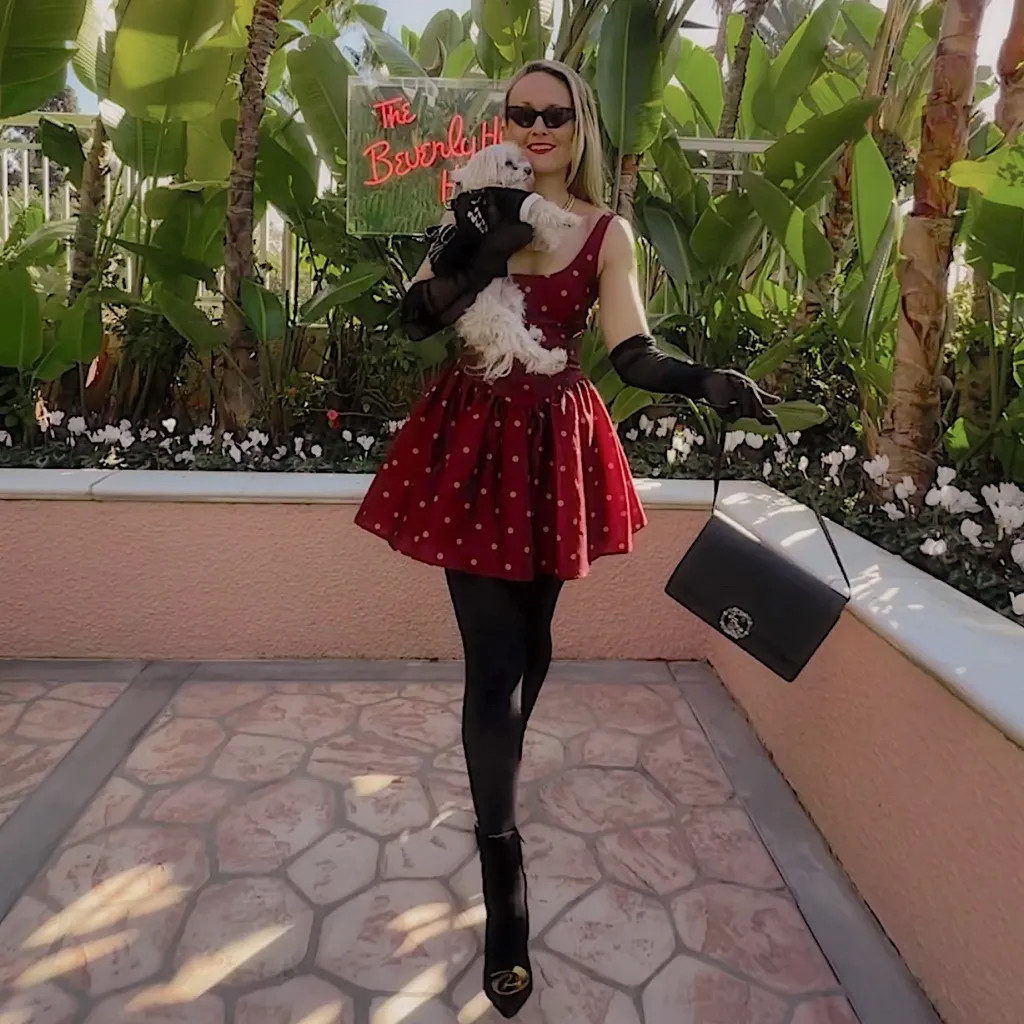 Hutch Burgundy Red Polka Dot Mini Dress NWT - Image 3