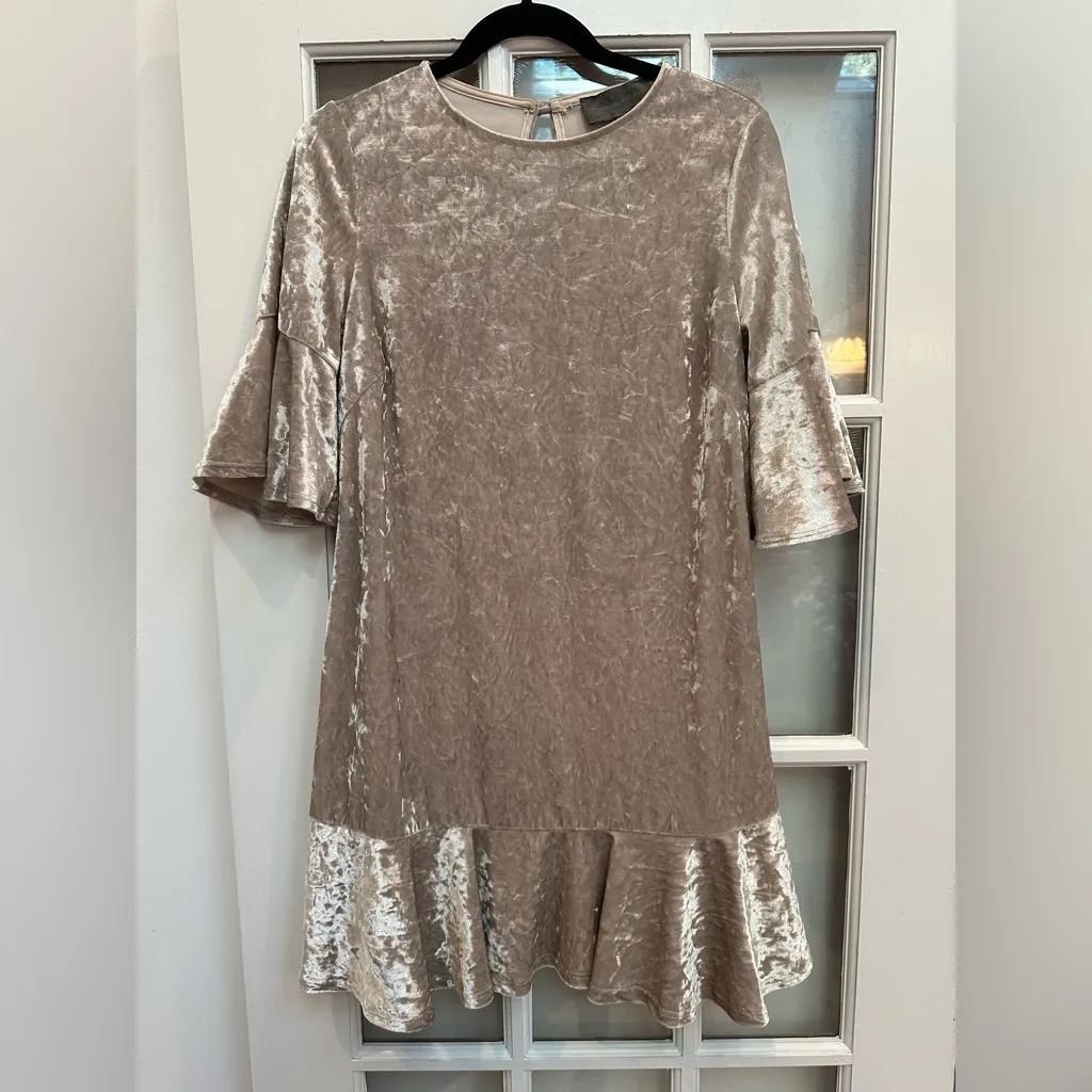 Anthropologie Sunday in Brooklyn Champagne Velvet Flutter Dress Size XS Holiday - Image 10