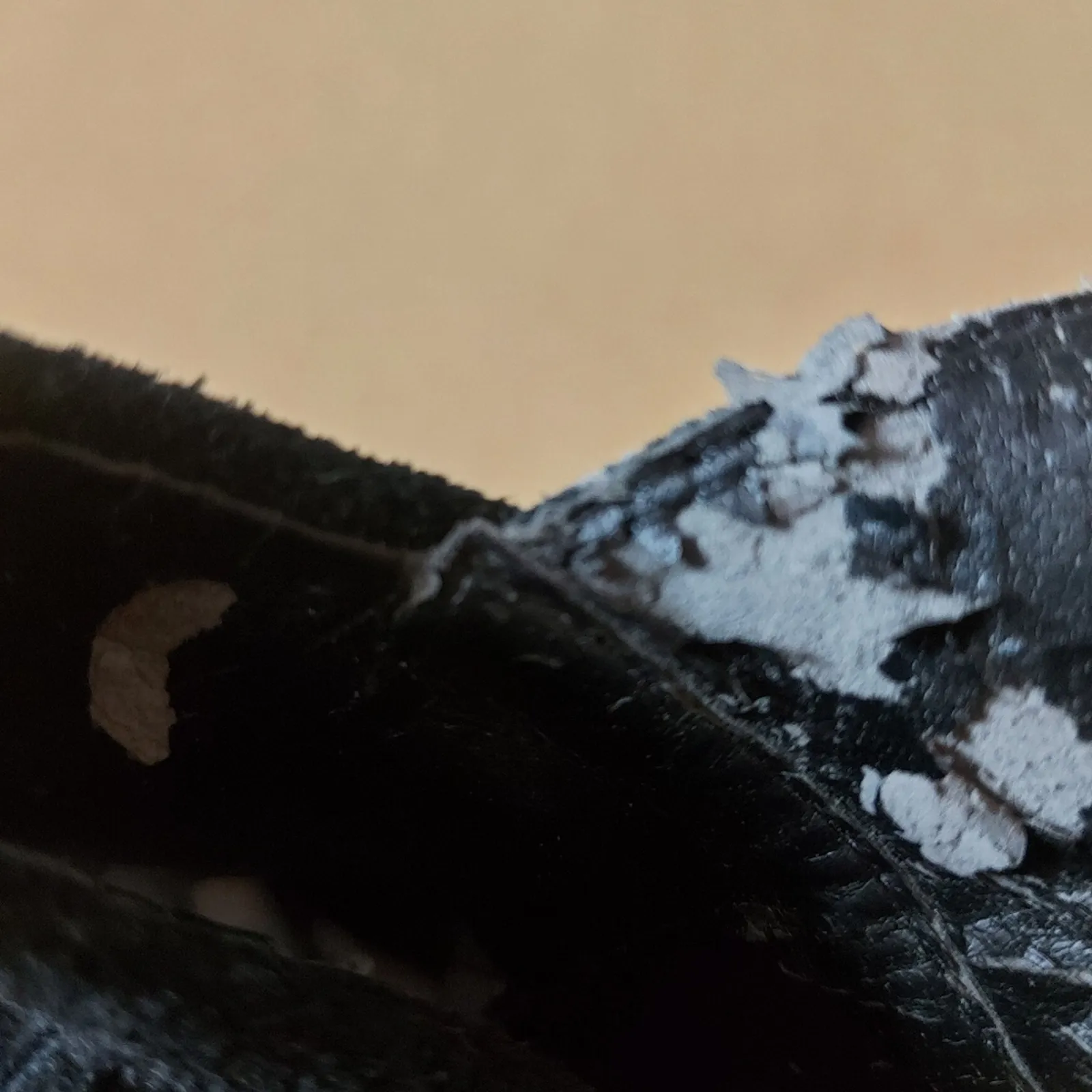 Penny Loves Kenny Sonya Platform Fringe Sandal 9.5 Shooties Festival Cowgirl - Image 10