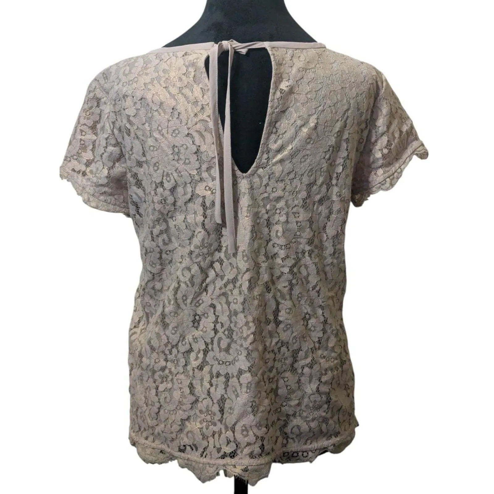 Joie Taupe Lace Overlay Top S Keyhole Tie Back Blouse Romantic Feminine - Image 7