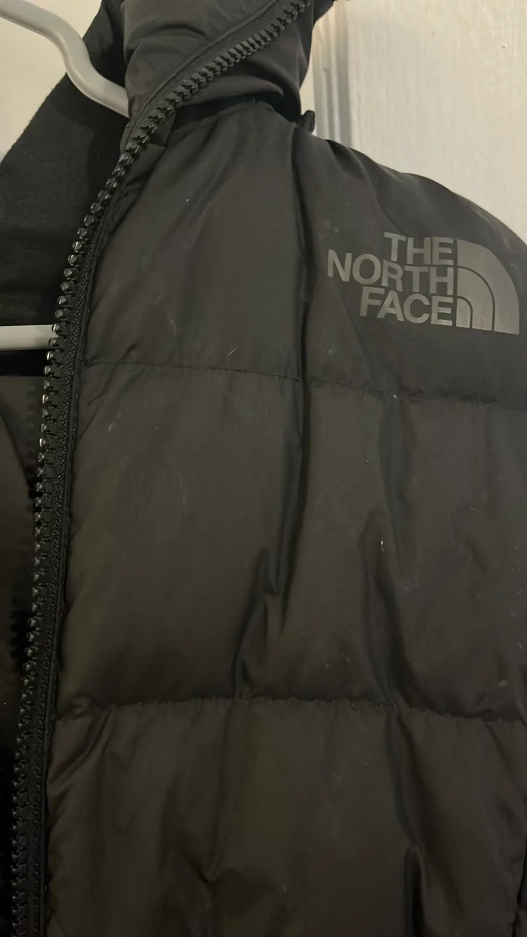 Black Puffer - Image 2