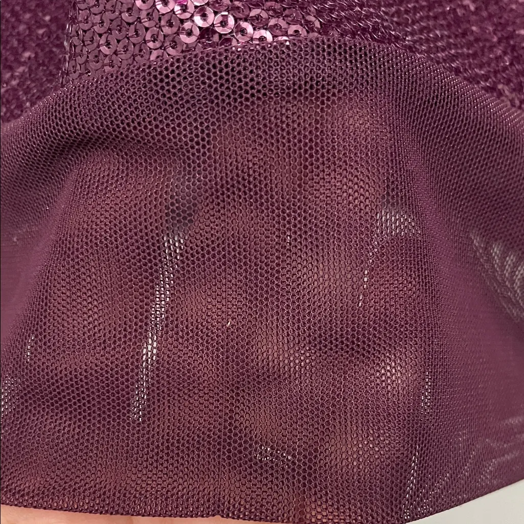 BCBG Maxazria Barlow Dark Purple Sequins & Mesh Mini Dress - Size Small - Image 9
