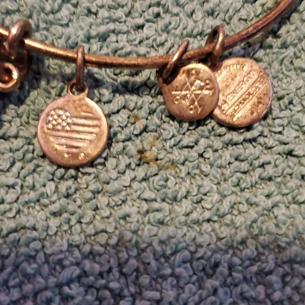 Alex & Ani Bangle Bracelet - Image 3