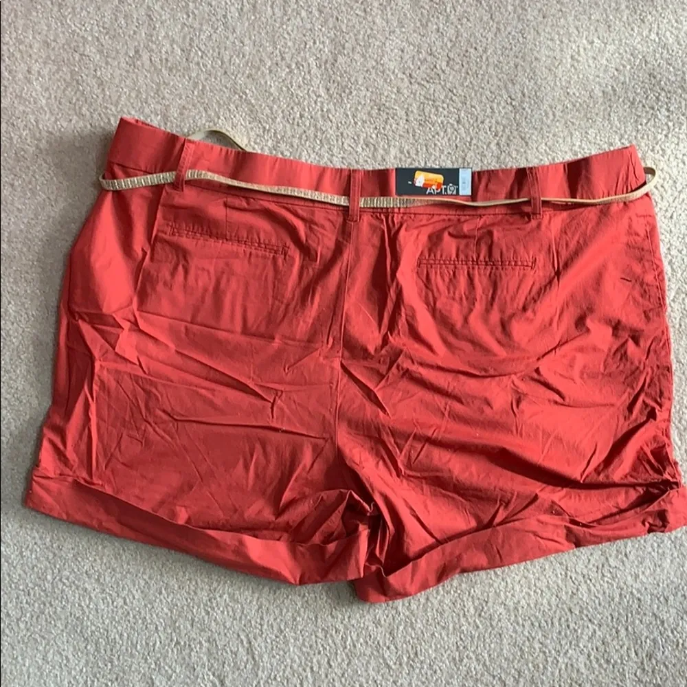 Apt. 9 burnt orange cuffed shorts w/belt size 24W - Image 5