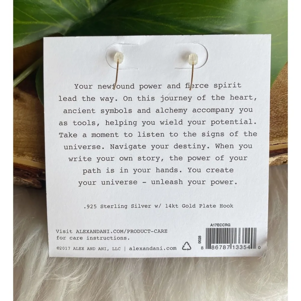 NWT Alex and Ani Crimson Beaded Drop Chain Earrings - Image 5