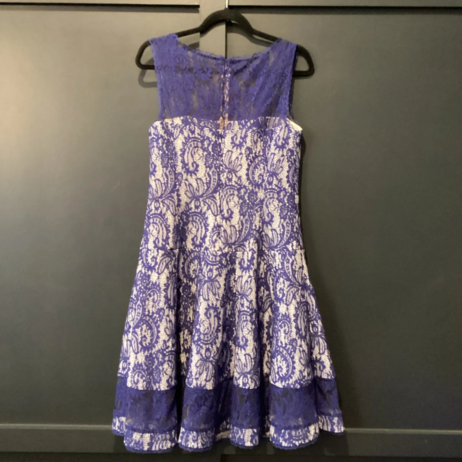 Tadashi Shoji Corded Lace Spacer Mesh Fit and Flare mini sleeveless Dress blue - Image 3