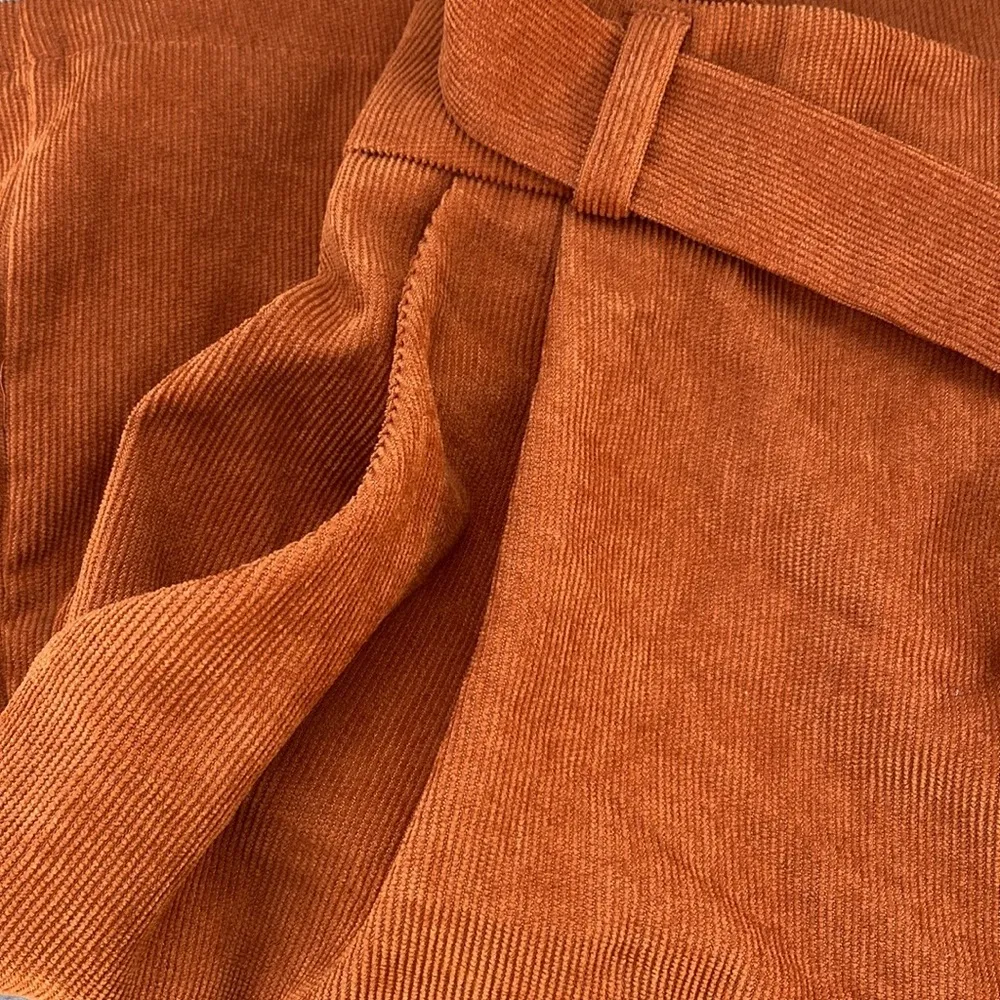 SHEIN Plus Size Rust Color Button Down Corduroy Skirt Size 2X - Image 7