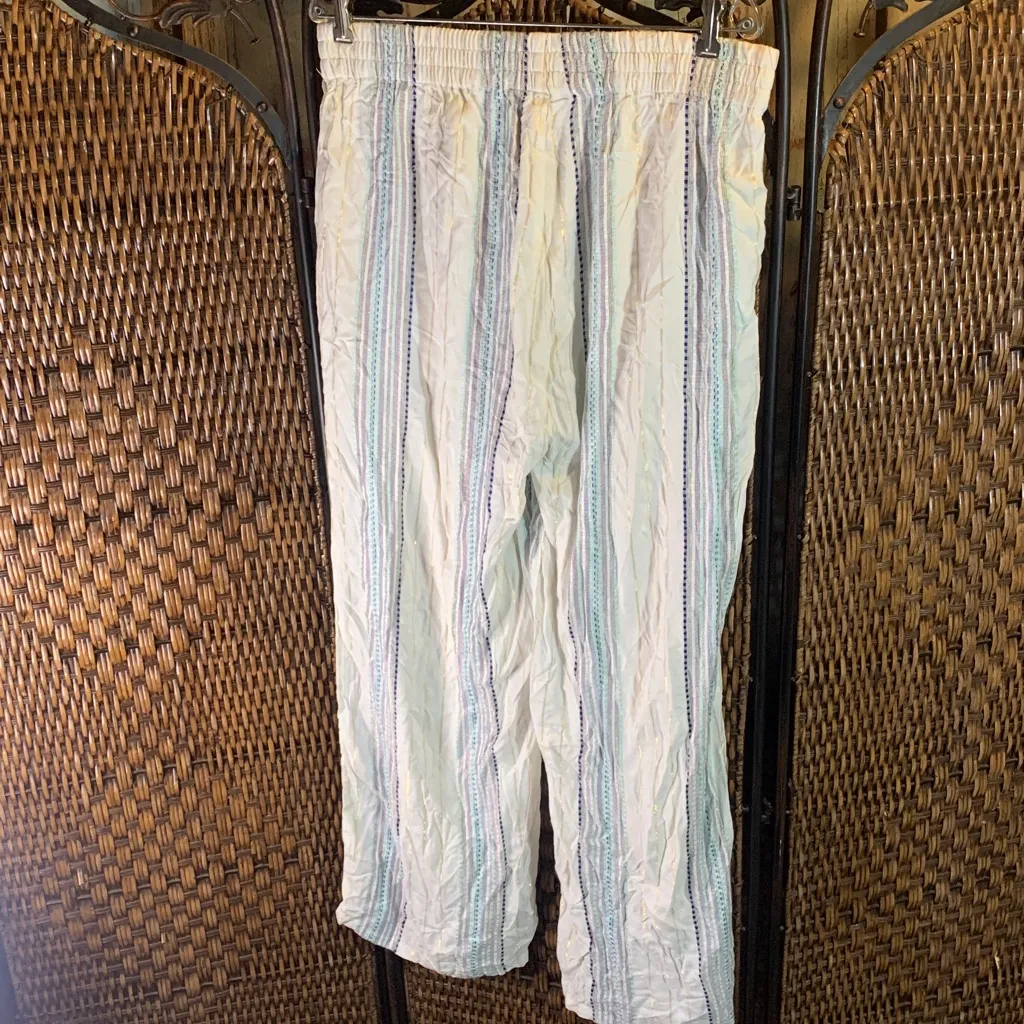 NWT Krazy Kat Lined Striped Pants Size L - Image 3