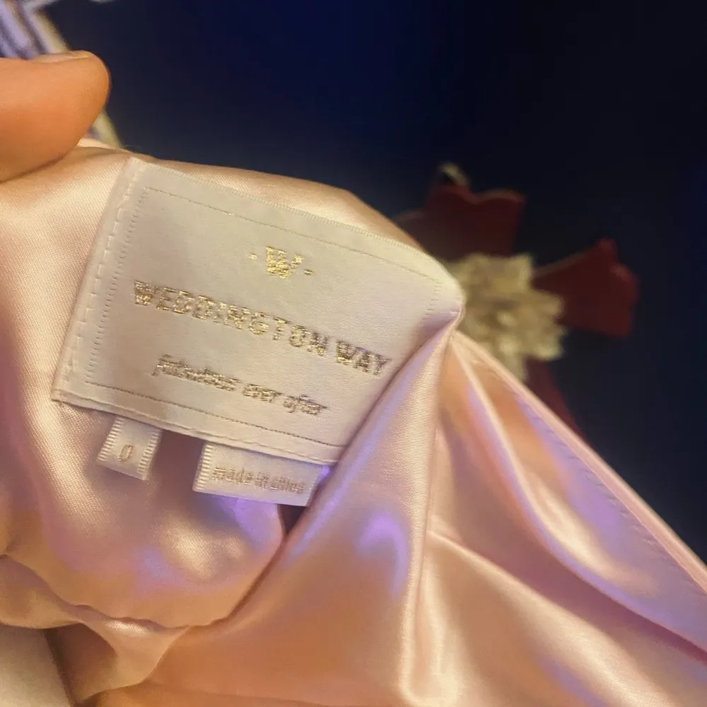 Weddington Way Backless Halter Maxi Dress in Blush Pink - Image 2