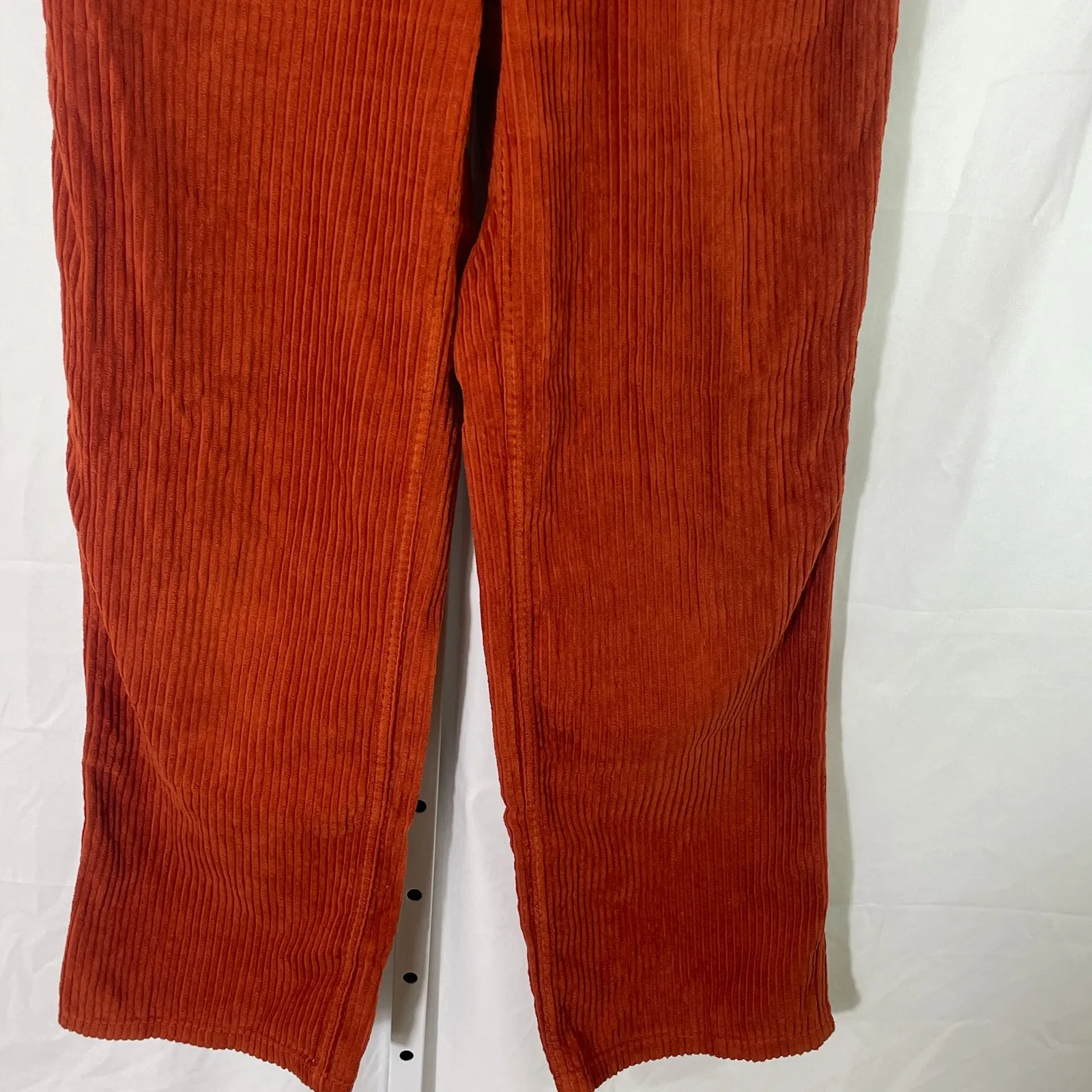 BDG Corduroy Pants - Women Size 25 - Rust - Image 3