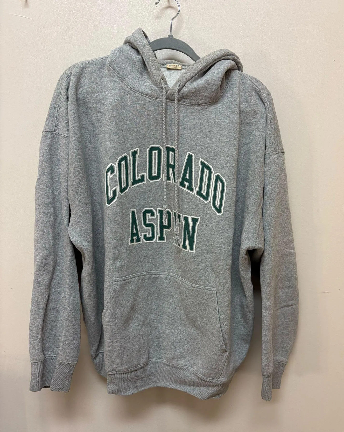 Brandy Melville Colorado Aspen Hoodie - Image 3