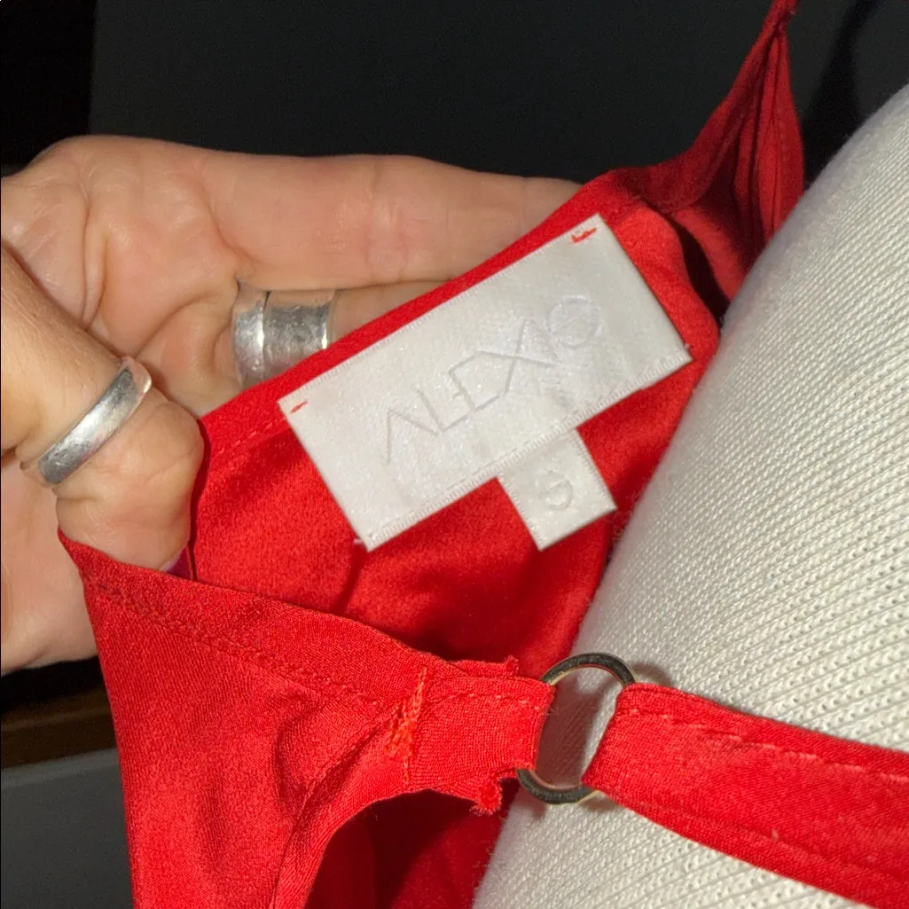 Alexis Katarina Red lace Dress size small - Image 4