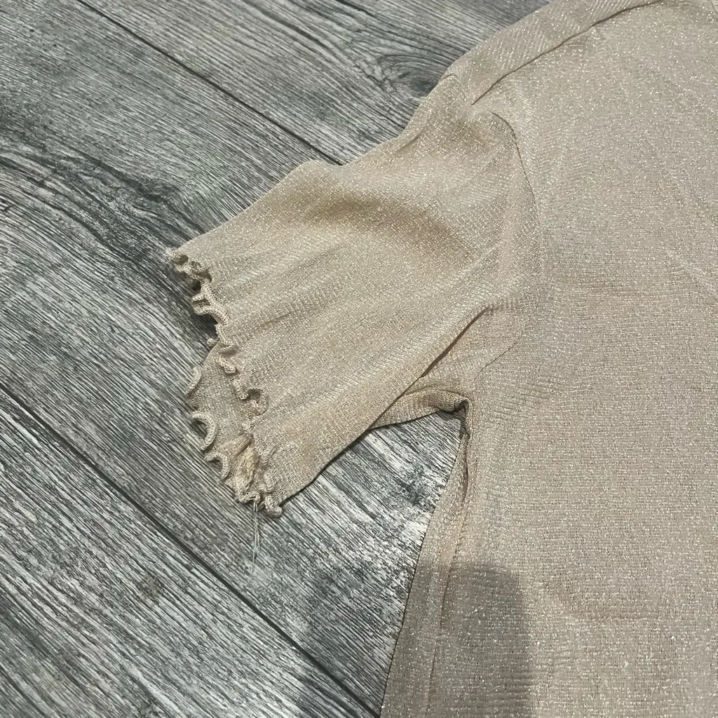 Elegant Gold Tan Glitter Simmering Sheer Top Womens Plus Size Short Sleeves 3XL - Image 4