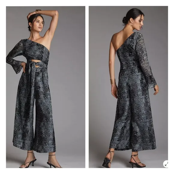 Anthropologie One-Shoulder Burnout Velvet Jumpsuit size S - Image 2