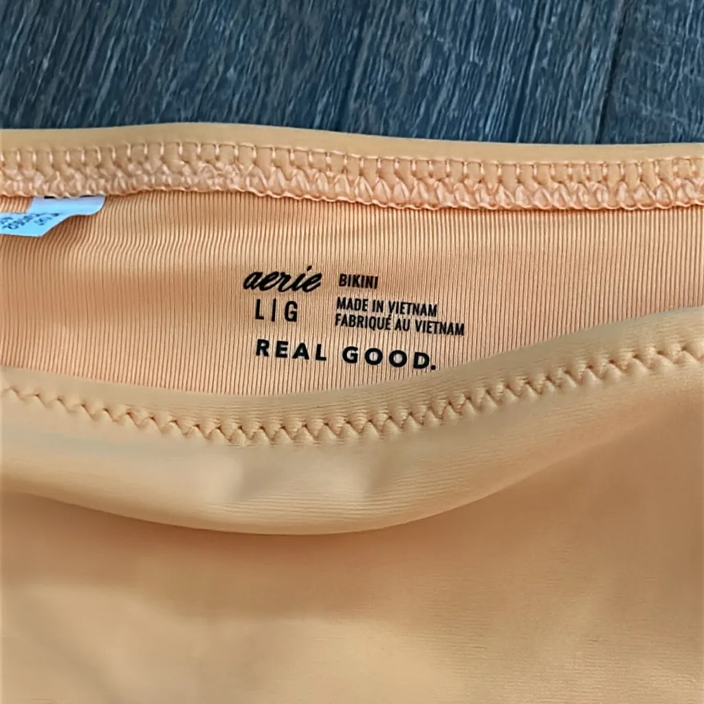 Aerie Shine Full Coverage Bikini Bottom‎ Orange Size Large - Image 2