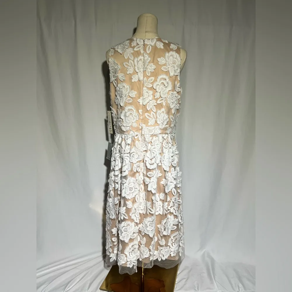 Eliza J Embroidered Mesh Fit & Flare Dress | 12 NWT - Image 5