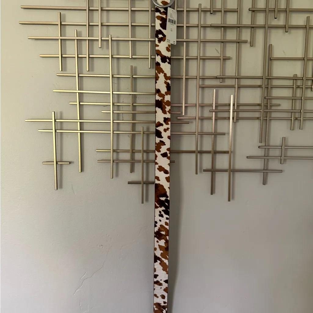 Anthropologie Brown and White Belt - Image 4