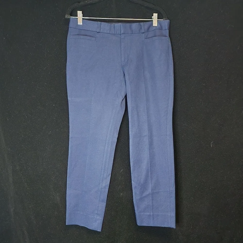 Banana Republic Sloan Blue Pants (8P) - Image 3
