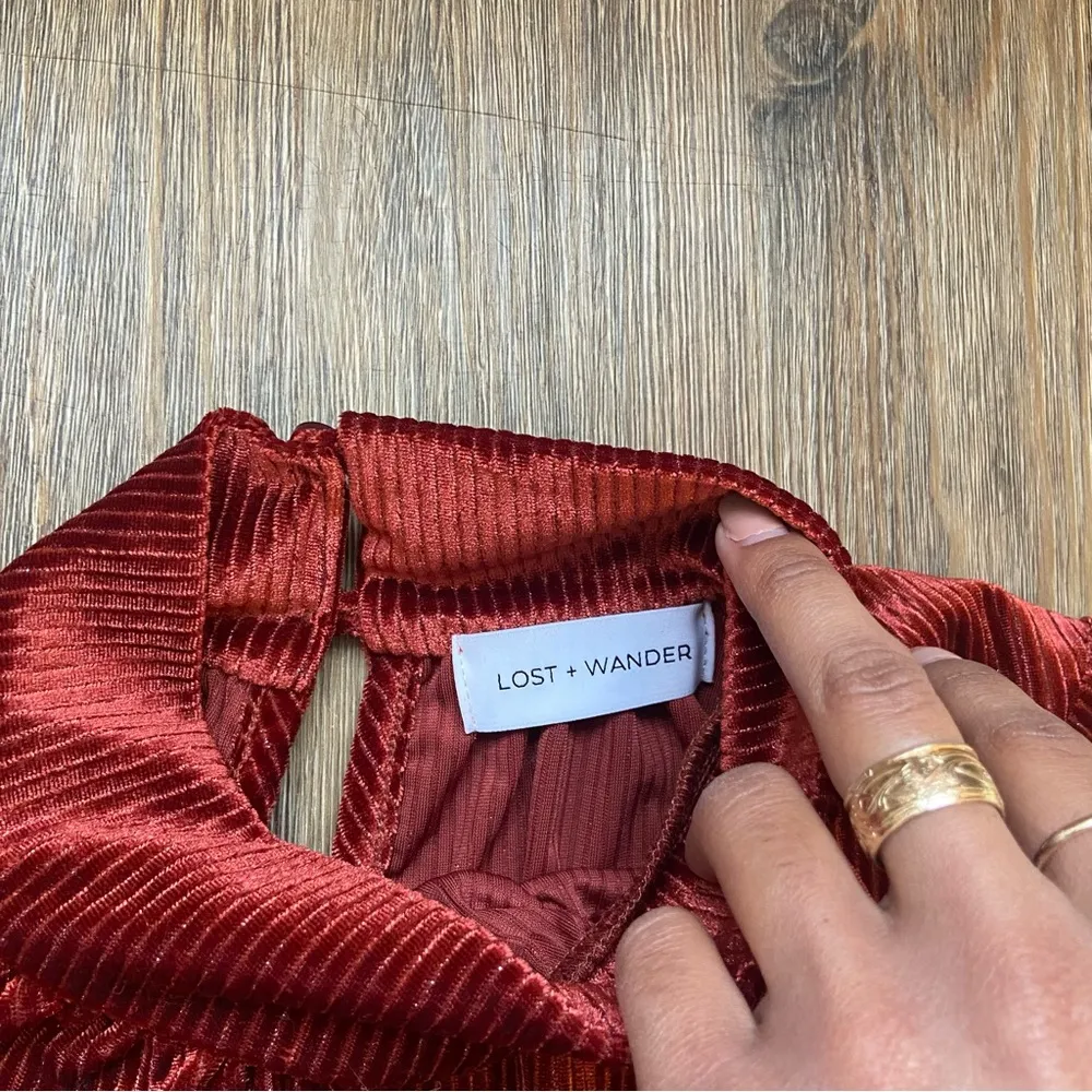 Lost + Wander Rust Velvet Blouse - Image 8