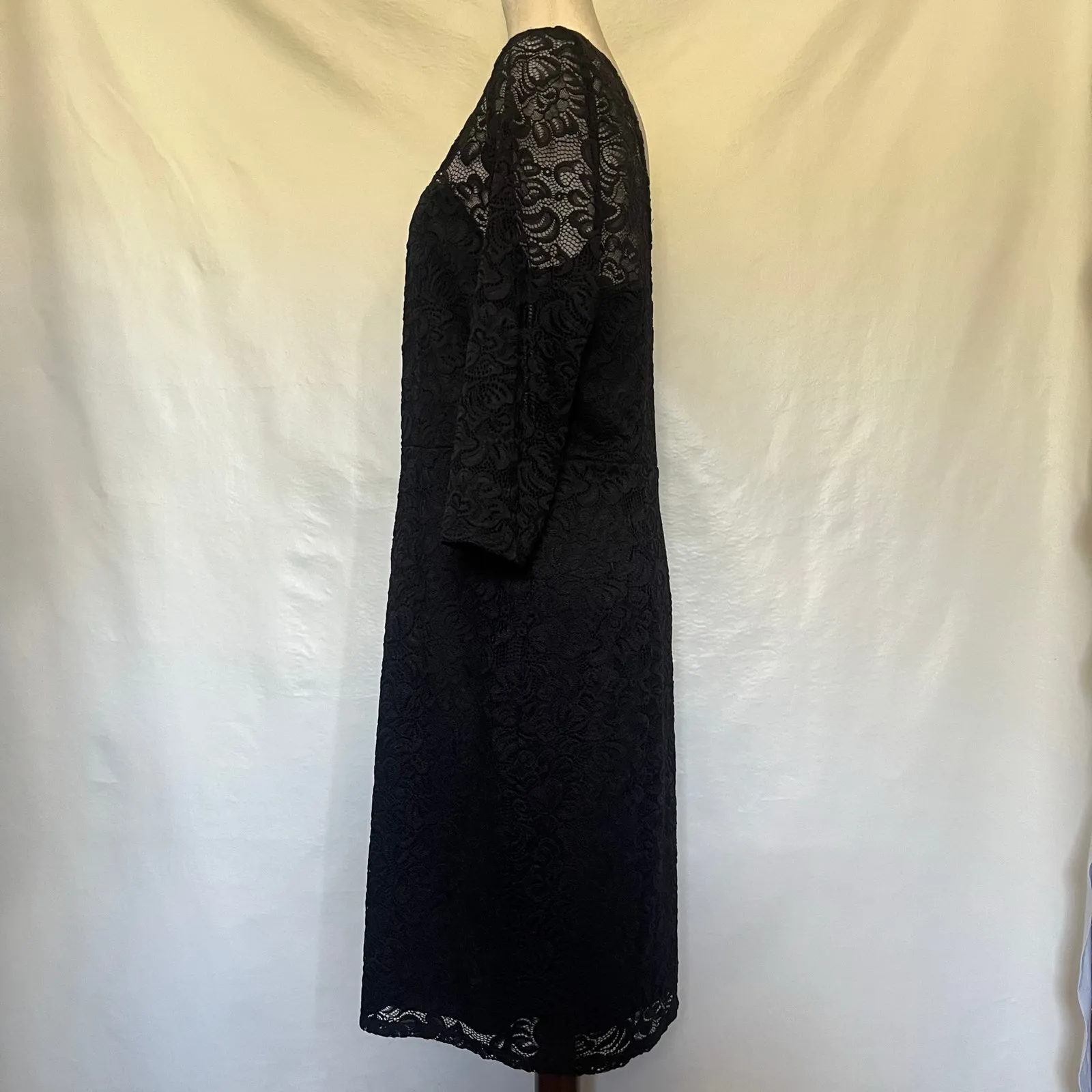 Bold Elements Lace Sheath Dress Sz XL Whimsigoth Witchy Gothic Formal  Romantic - Image 5