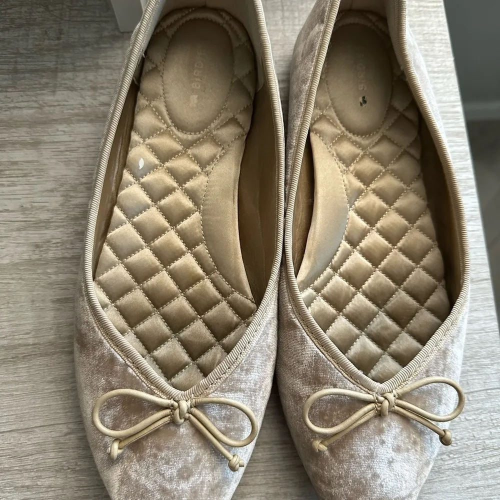 Birdies  Goldfinch Pointy Toe Ballet Flat Size 8 - Image 12