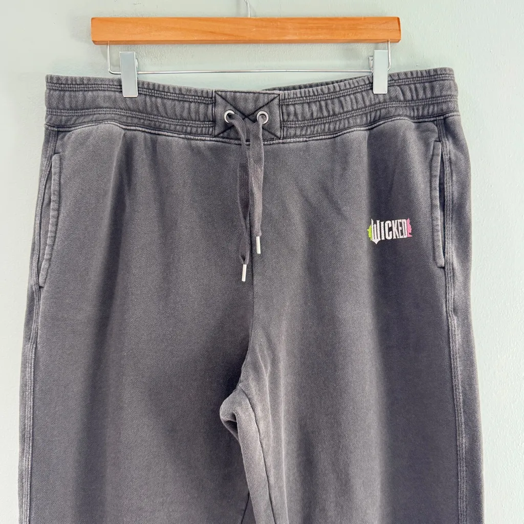 Aerie x Wicked Big Chill Jogger Smoked Grey XL - Image 6