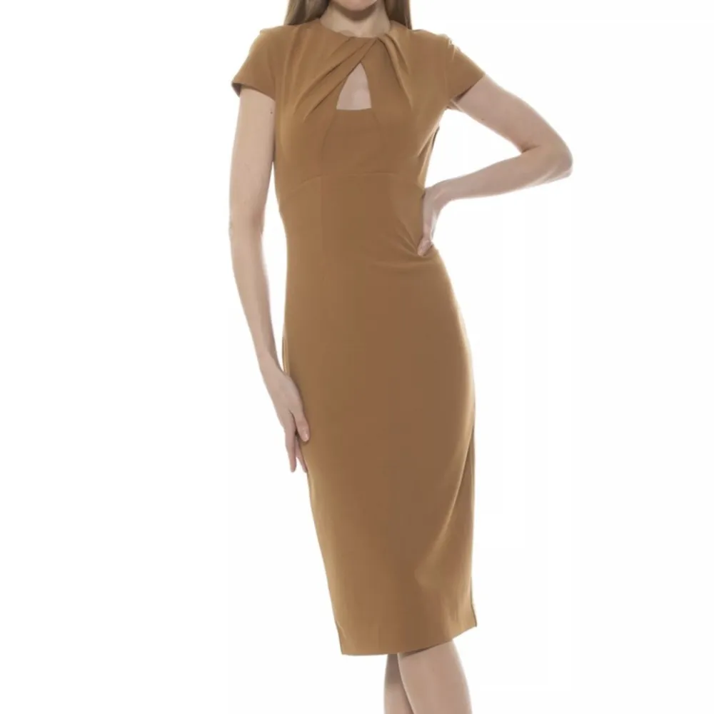 Alexia Admor Janine Draped Neck Midi Sheath Dress in Nude NWT - XS - MSRP $225 - Image 3
