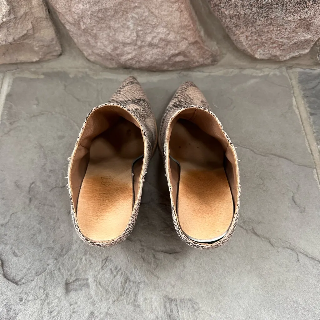 Mi.iM Snakeskin Pointed - Image 8