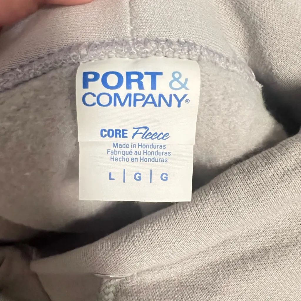 Gray Dinosaur Valley State Park Hoodie Size L - Image 4