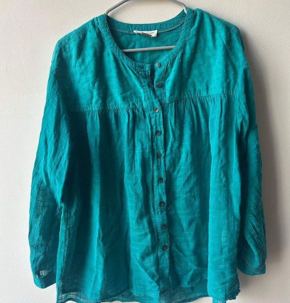 Anthropologie Pilcro and the Letterpress Mila Buttondown Turquoise Sz S - Image 3