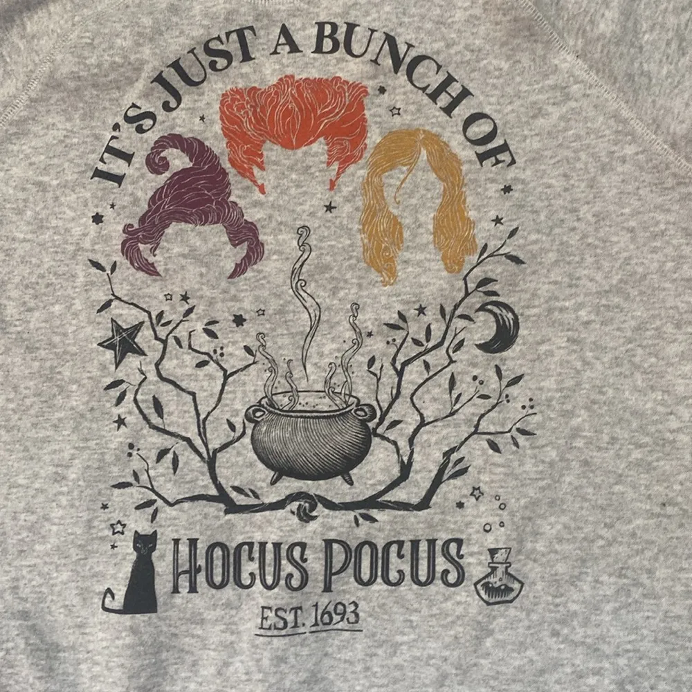 Disney  Hocus Pocus Gray Sweatshirt - Image 2