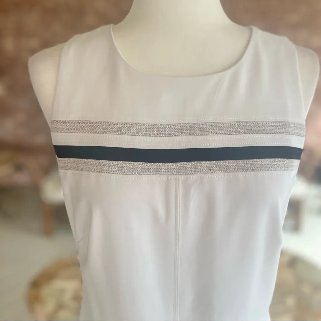 WHBM Dress Sheath Sleeveless Mini Striped 6 Work Job Cocktail Lunch Brunch Mod - Image 4