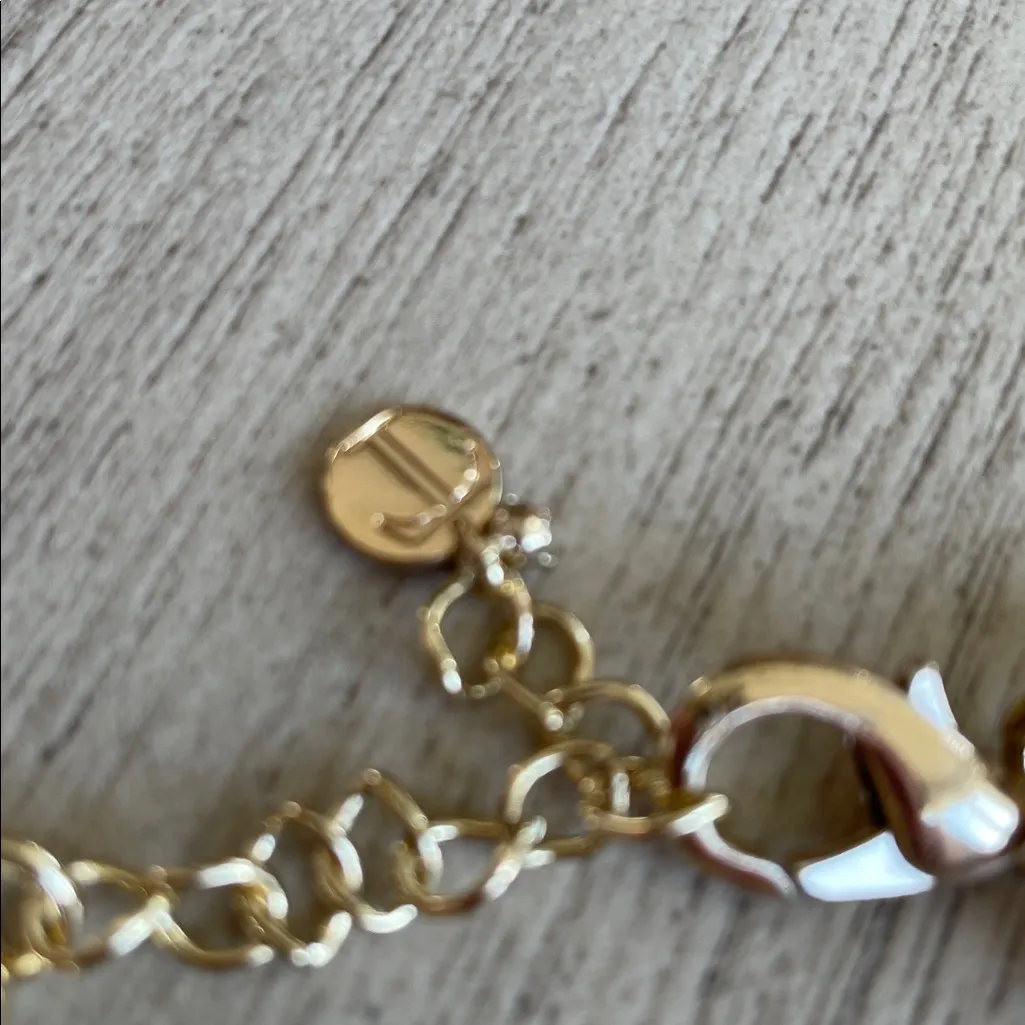 Talbots Chunky Bamboo Link Chain - Image 2