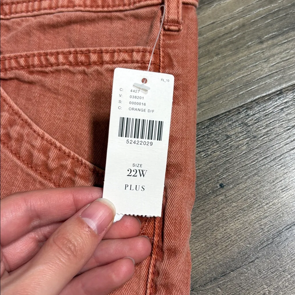 Anthropologie Herringbone Carpenter Soft Rust Pants NWT 22W - Image 5