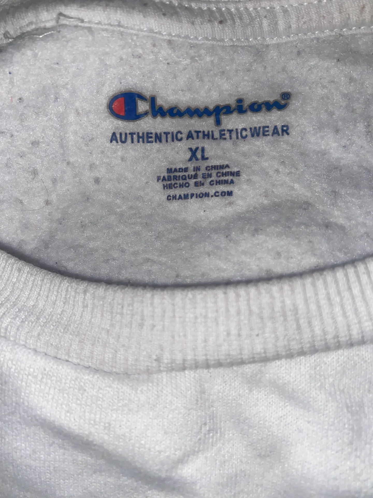 Champion Sweatshirt - Image 3