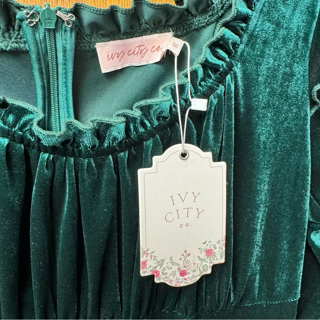 NEW Ivy City Co. Cleopatra Flare Long Sleeve Midi Dress Velvet Green Medium M - Image 9