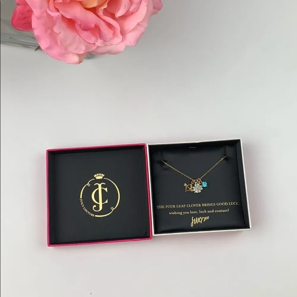 NWT Juicy Couture Love & Luck Necklace - Image 3