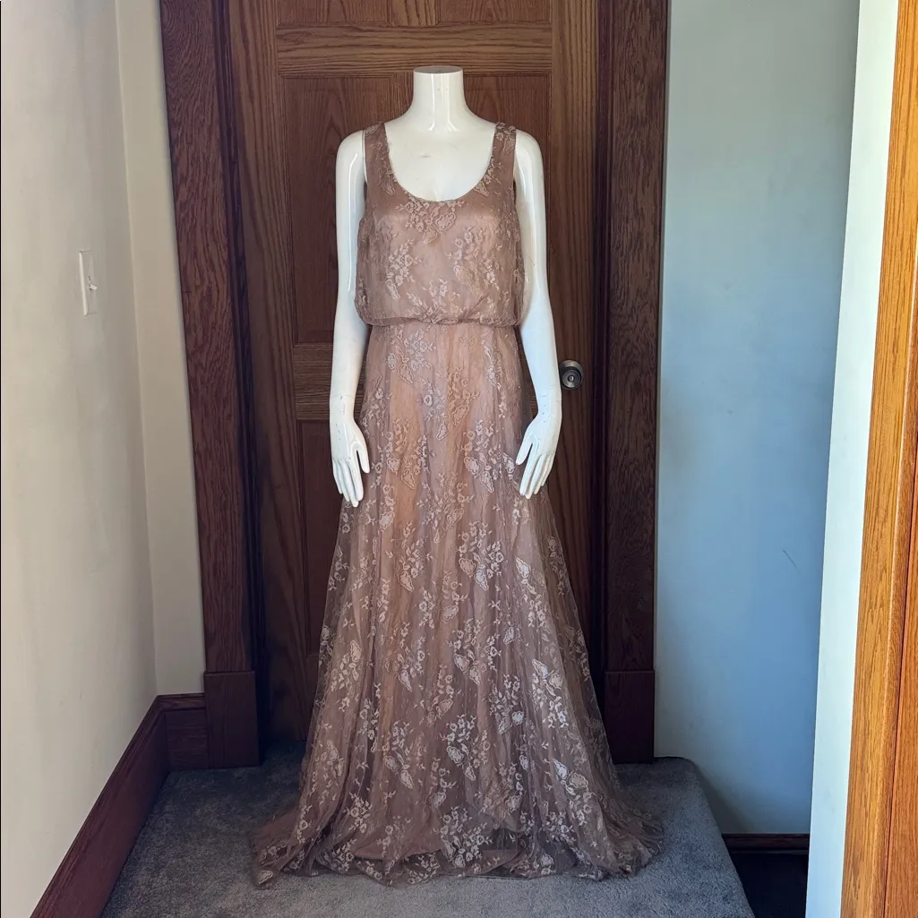 Donna Morgan Collection Oyster Natalya Blouseon Lace Dress SIZE 10 - Image 3