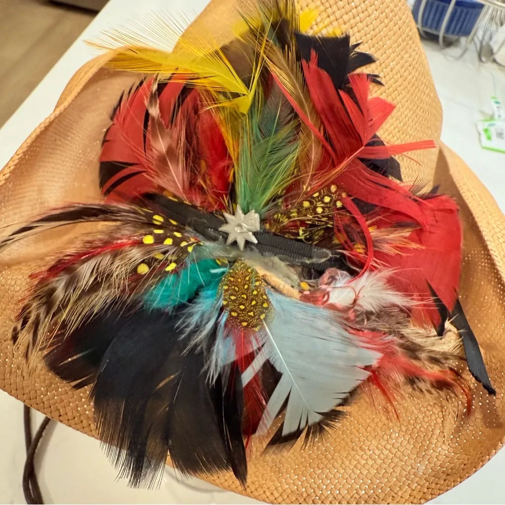 Vintage Beaver Hats Colorful Feathered Cowboy Hat 6 7/8 - Image 2