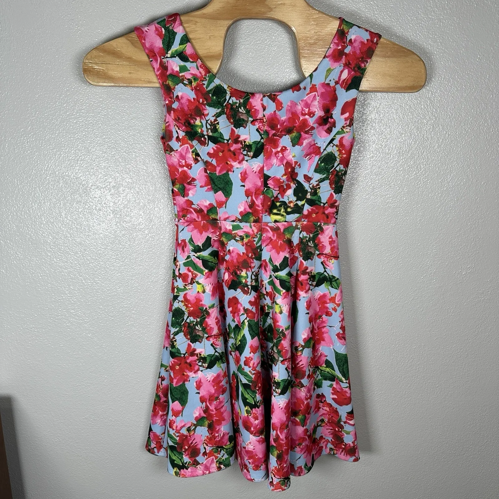 Milly Dress Size 2 Blue Pink Floral Skater Mini Fit & Flare Spring Summer - Image 4
