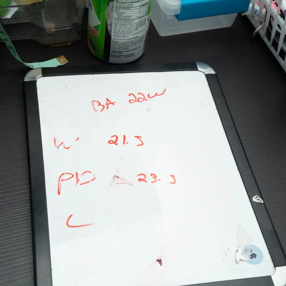 Xscape | Plus Camila Long off the Shoulder Slit Gown. - Image 13