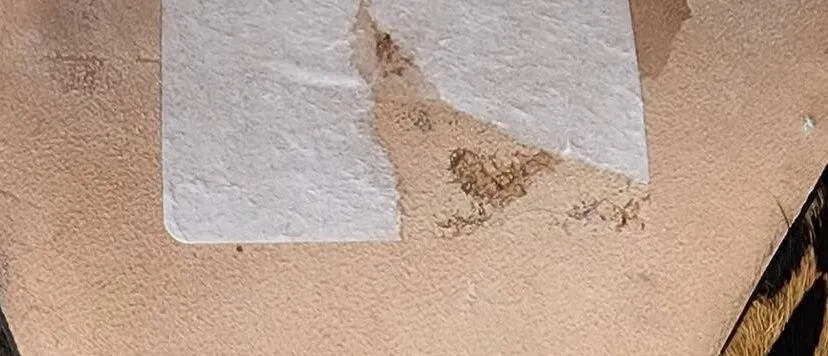 Ulla Johnson Carin Bootie in Patchwork Leopard Calf Hair - Image 10