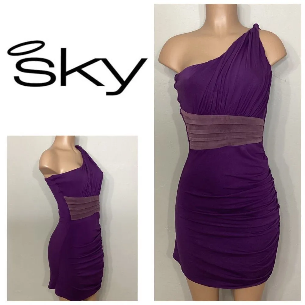New. SKY purple Grecian style dress with leather. Normally $224 Size L - Image 2