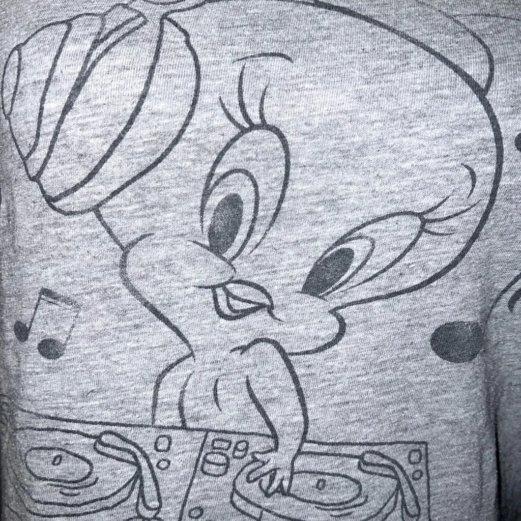 Looney Tunes Tweetie Got Us Tee🌵🦎 Gray - Image 3