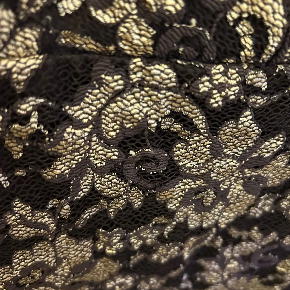 Hugo Buscati Chocolate,Gold metallic lace over Dress from his masterpieces - Image 4