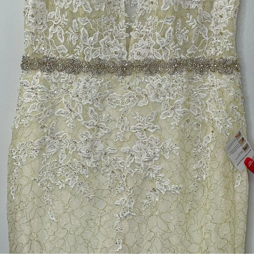 Mac Duggal 79341 Floral Appliqués Sleeveless Plunge Neck Trumpet Gown, Size 12 - Image 6